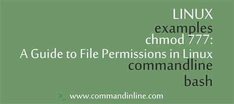 chmod 777 command|Demystifying chmod 777 : The Linux Permissions Command .